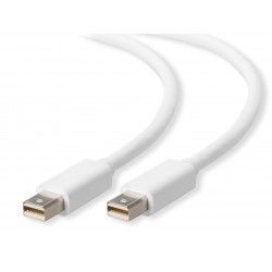 POWERTECH CAB-DP010 DISPLAY PORT MINI MALE TO DISPLAY PORT MINI MALE 3m CABLE WHITE POWERTECH CAB-DP010 DISPLAY PORT MINI MALE TO DISPLAY PORT MINI MALE 3m CABLE WHITE
