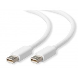 POWERTECH CAB-DP009 DISPLAY PORT MINI MALE TO  DISPLAY PORT MINI MALE 2m CABLE WHITE 