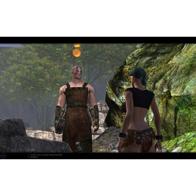 AGE OF CONAN HYBORIAN ADVENTURES (PC) AGE OF CONAN HYBORIAN ADVENTURES (PC)
