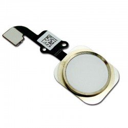 Καλωδιοταινία Κεντρικού Κουμπιού Λευκό-Χρυσό iPhone 6 - 6 Plus Flex Home Button White-Gold i6 Plus