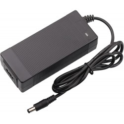 Φορτιστής Μπαταριών Λιθίου Lion Battery Charger 1000mA 29.2V 1Α