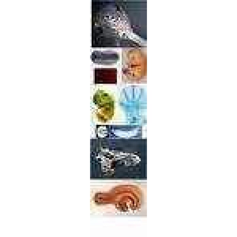 ΒΙΟΛΟΓΙΑ ΕΙΣΑΓΩΓΗ KEYSTONE ISBN 960-7915-02-X (PC)